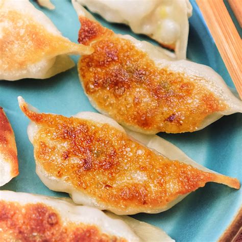 Gyoza pan-fried