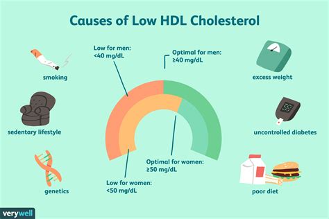 HDL Cholesterol