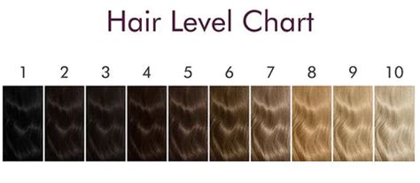 Hair Dye Level Chart