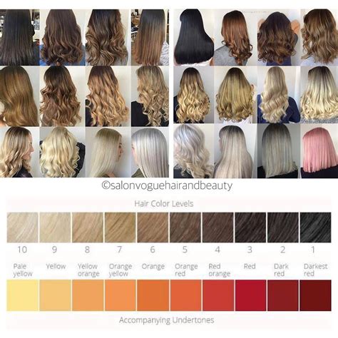 Hair Dye Shades Chart