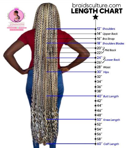 Hair Length Chart Braids