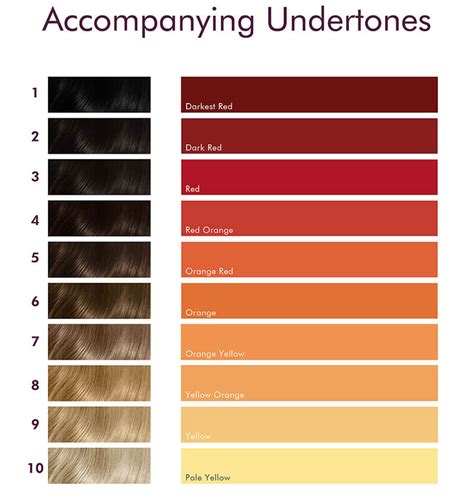 Hair Level Chart Undertones