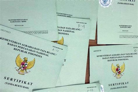 Hak Guna Usaha