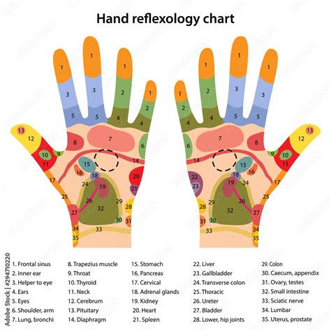 Hand Chart For Acupressure