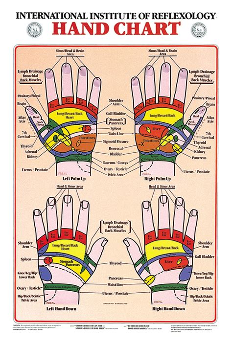 Hand Chart Of Reflexology