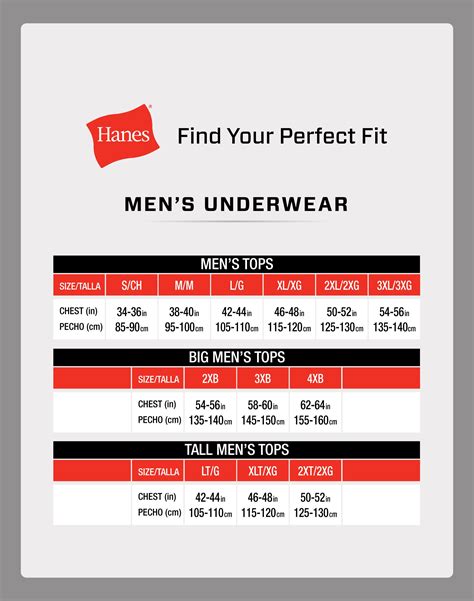 Hanes Brief Size Chart