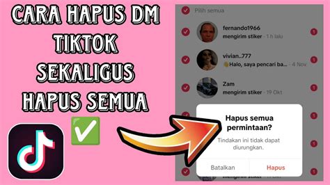 Hapus DM TikTok