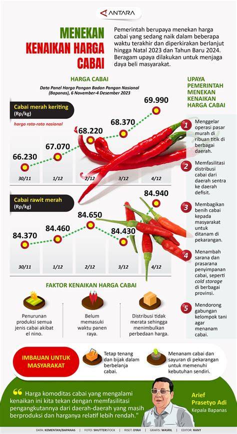Harga Cabai