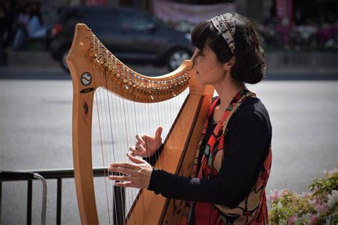 Harpa Chordophone