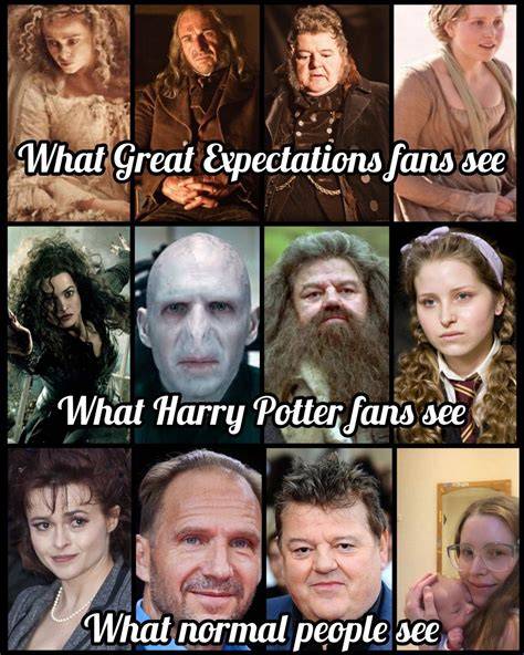 Harry Potter Fan Expectations