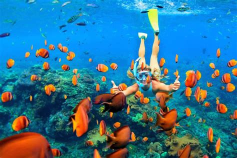Hawaii Snorkeling