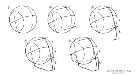 Head Drawing Template