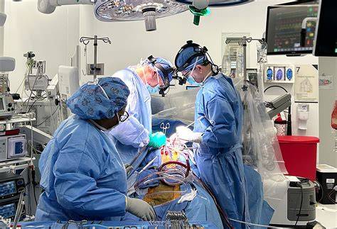 Heart Surgeons