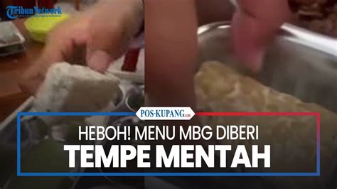 Heboh Menu MBG Mentah