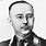 Heinrich Himmler Portrait
