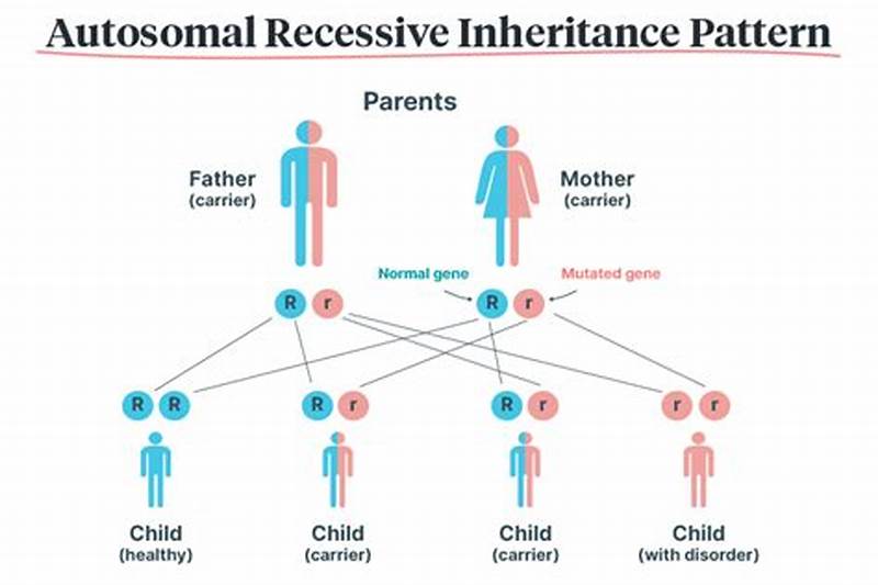 Hemoglobin Fas Inheritance Pattern