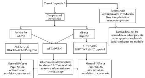 Hepatitis B management flowchart