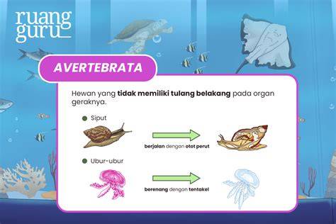 Hewan Avertebrata