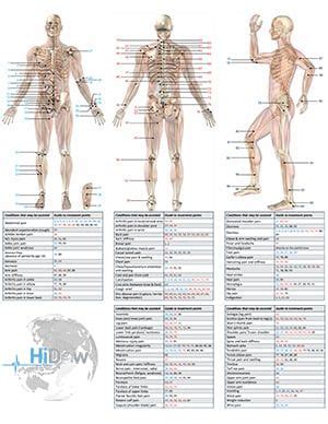 Hidow Pressure Point Chart