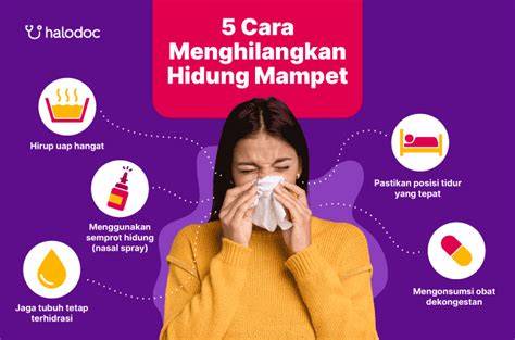 Hidung Mampet