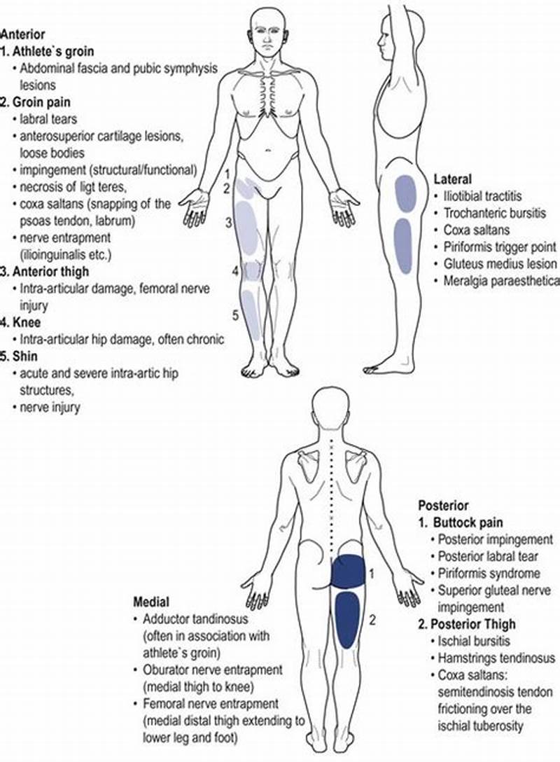 Hip Labrum Referral Pattern