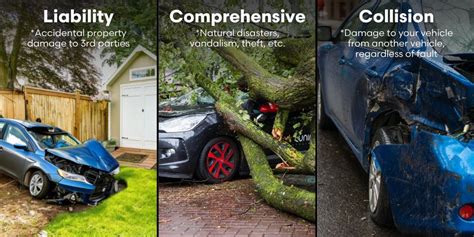 Hit A Tree Insurance Claim