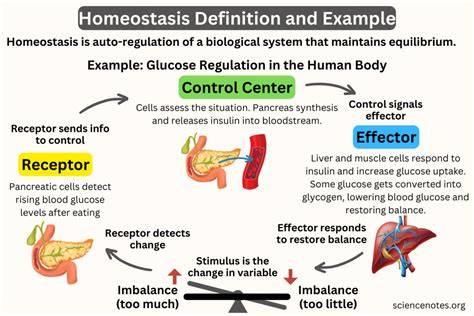 Homeostasis Concept