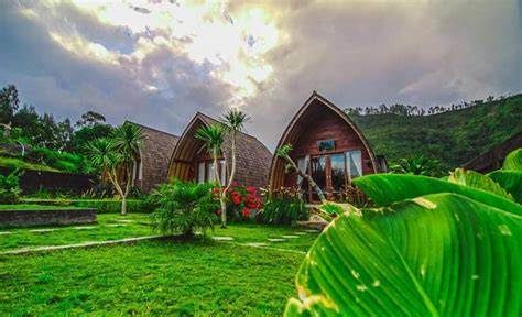 Homestay Instagramable