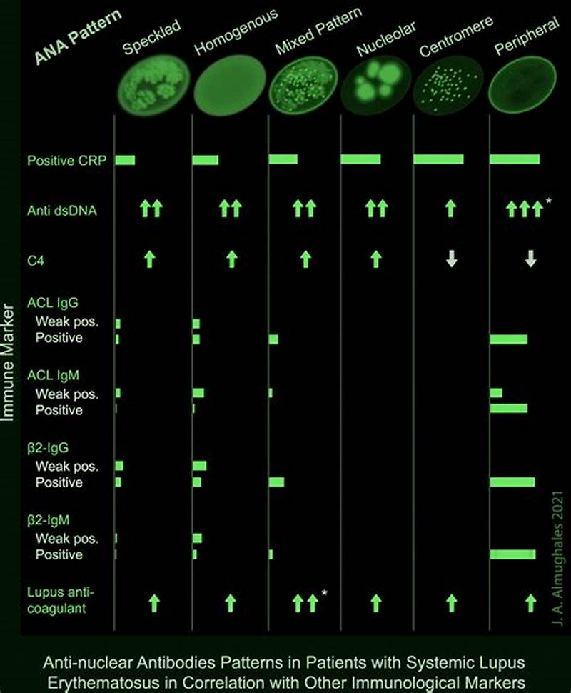 Homogenous Ana Pattern