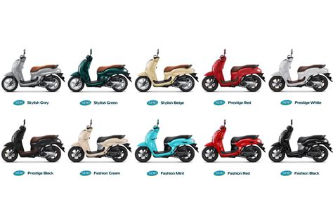 Honda Scoopy Conventional Key