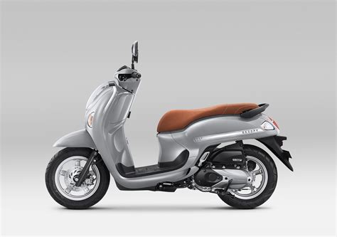 Honda Scoopy Stylish