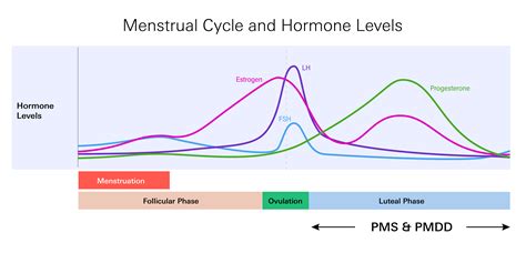 Hormonal Changes PMS