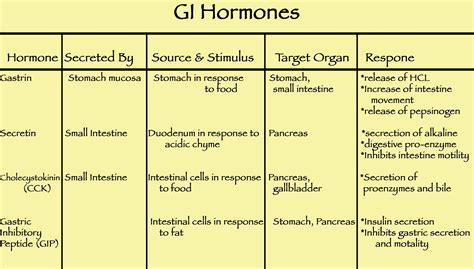 Hormones Chart And Their Functions