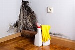 Household Mold Removal