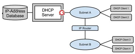 How DHCP client works
