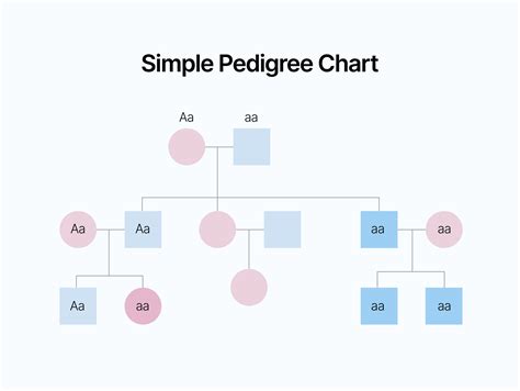 How Do You Make A Pedigree Chart