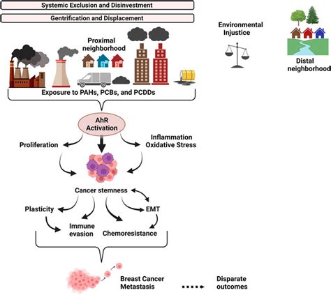 How Environmental Exposure Leads to Aggressive Forms of Cancer