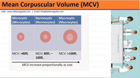 How MCV is measured in lab