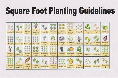 How Many Plants Per Square Foot Chart