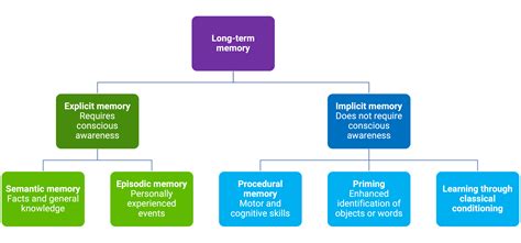 How Memory Changes From Working Memory To Long Term Chart