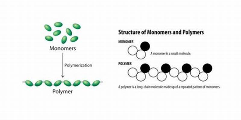 How Polymers Form