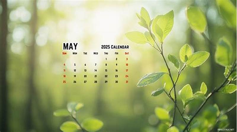 How To Add Calendar To Desktop Background