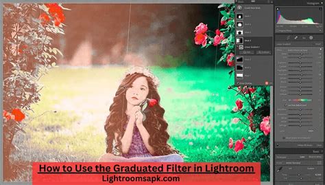 How To Apply Filter To Entire Catalog Lightroom
