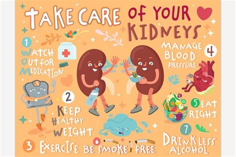 How To Care For Your Kidneys