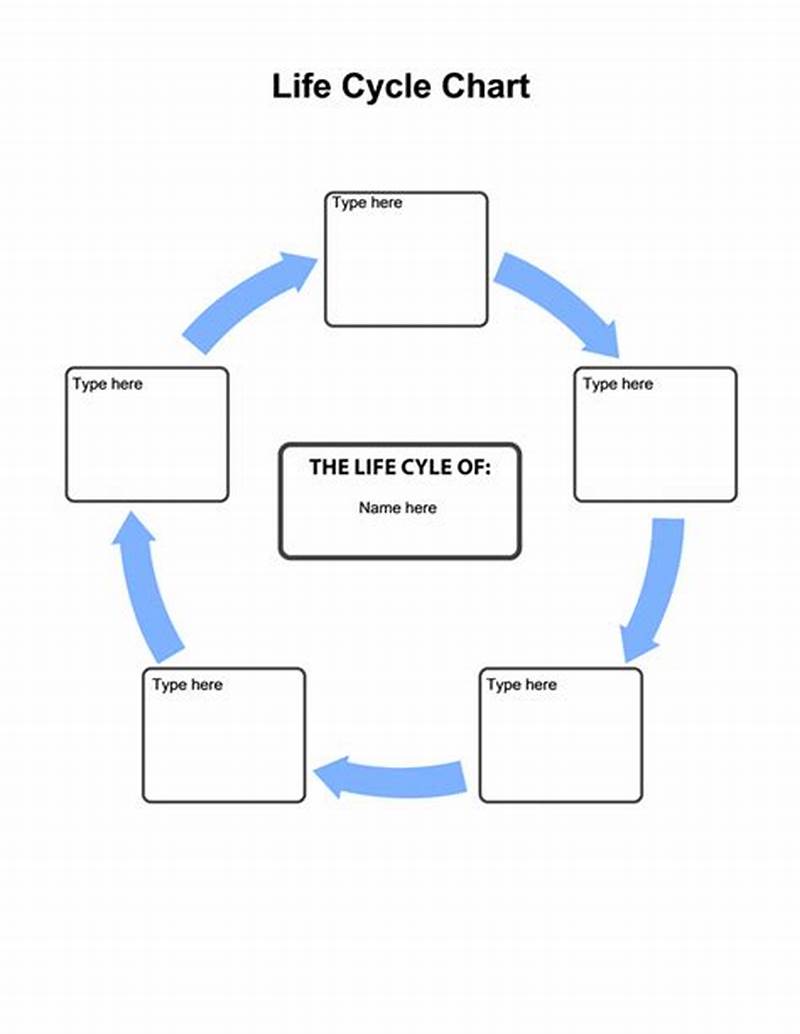 How To Create A Life Cycle Chart