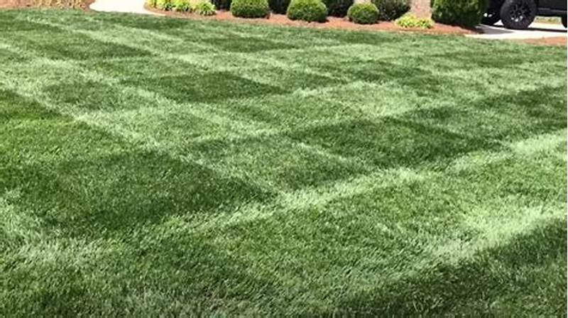 How To Cut Grass In Checkerboard Pattern