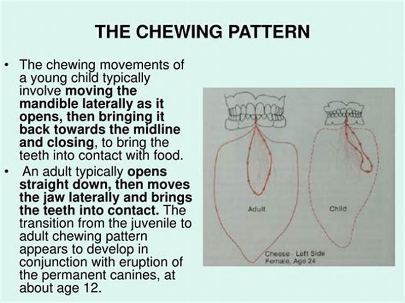 How To Develop A Rotary Chewing Pattern