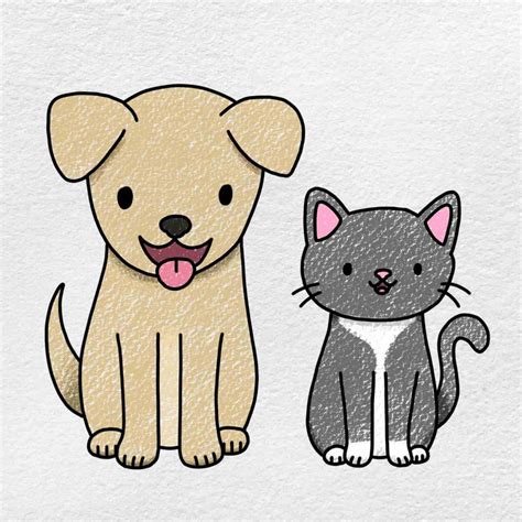 How To Draw A Cat And Dog
