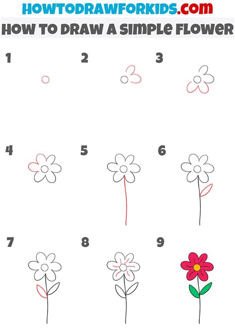 How To Draw A Flower Simple