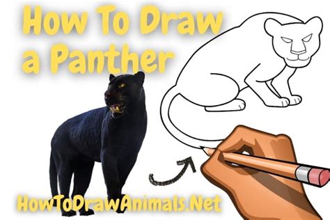 How To Draw A Panther Easy
